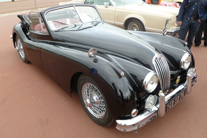 Jaguar P1020228