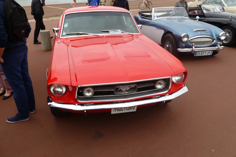 Ford Mustang P1020256