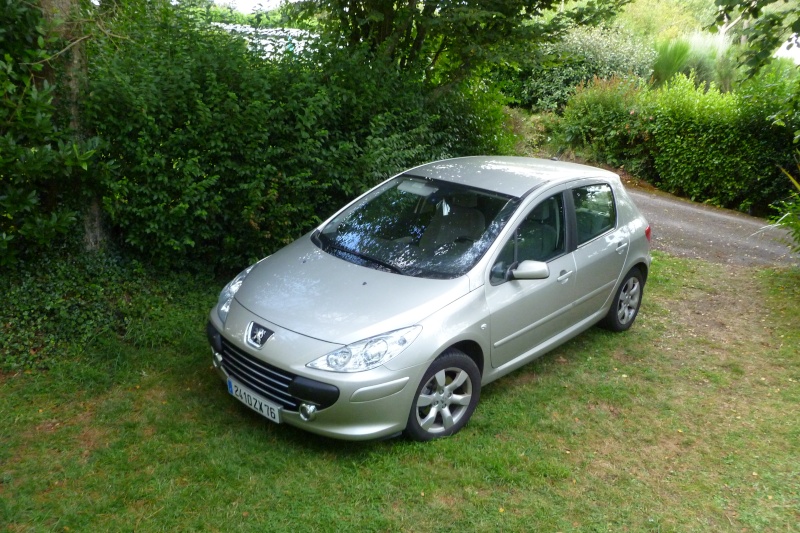 Peugeot 307 Souven19