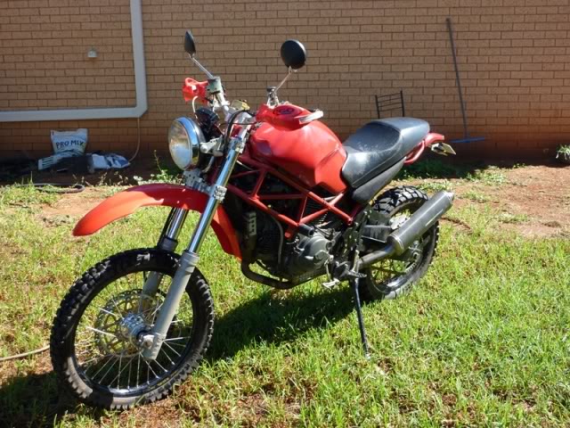 Duati 750 scrambler P1000010