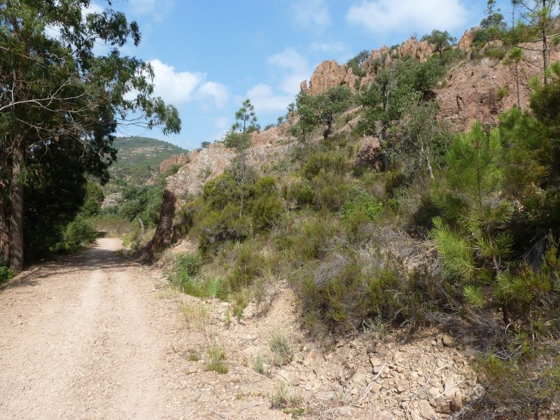 Sorties dans l'Esterel P1010818