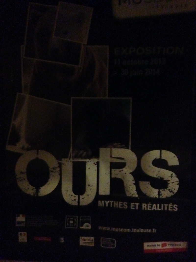 Ours par Ours : Ours carré ? Noooon, Ours tout rond ! - Page 10 Img_3311