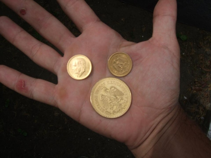 Exito!!! volvimos hallar monedas de Oro FOTOS - Página 2 18343310