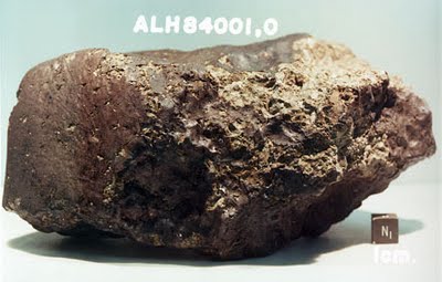 Ayuda para identificar sí es un meteorito Alh84010