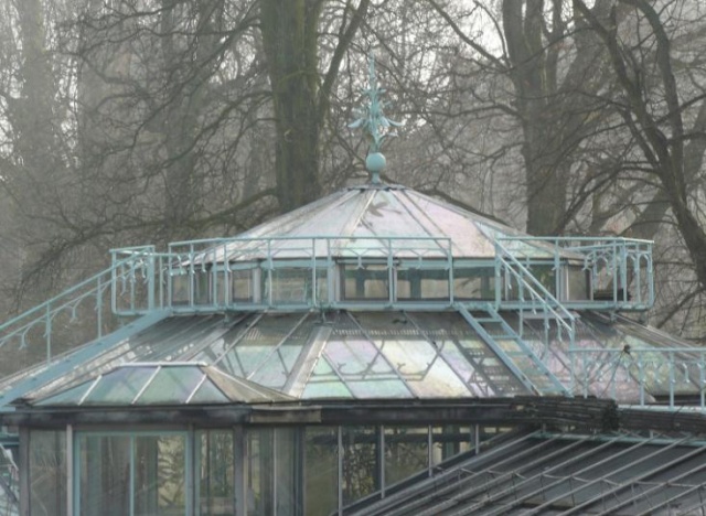 (Belgique) Serres du jardin botanique de Liège 65jhgj10