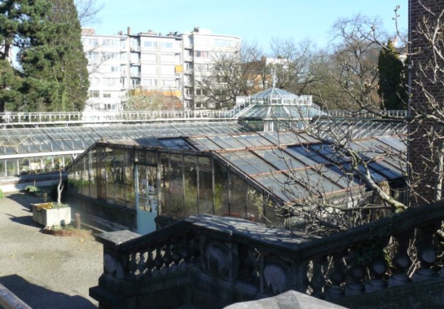 (Belgique) Serres du jardin botanique de Liège Khhjbk10