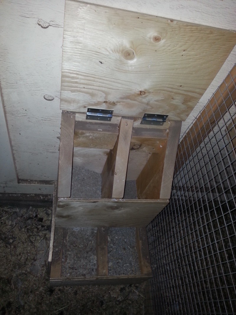 Lets See Your Pictures Of the Homemade Chicken Feeders That You Have Made , Please. Thank-You. 2013-136