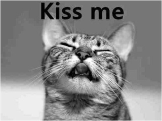 Pouvoir aux chats ! - Page 3 Kiss-m10