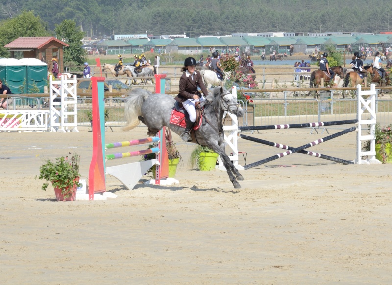 Lamotte 2013 poney 1D cadet 2 Dsc_3714