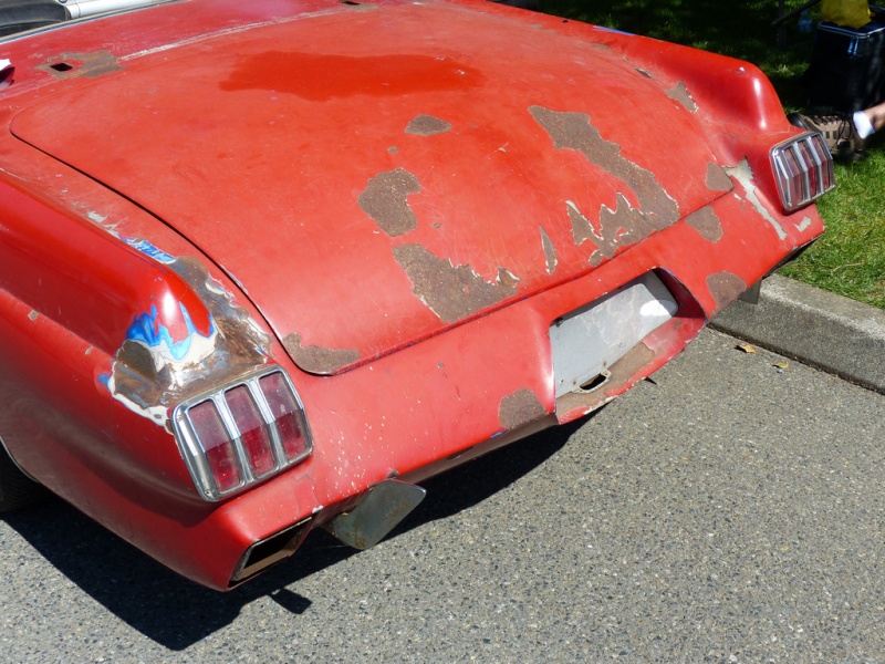 1956 Ford Thunderbird - Surfin' Bird -  Bill Cushenberry 96918510