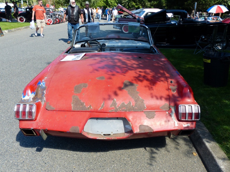 1956 Ford Thunderbird - Surfin' Bird -  Bill Cushenberry Surfin10