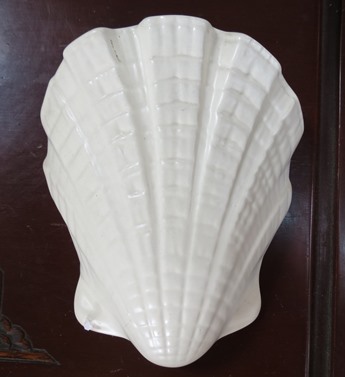 Shell - Nice shell vase for gallery  X_cl_s19