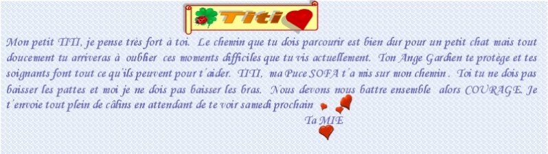 TITI - roux et blanc (avril 2012) Titi_210