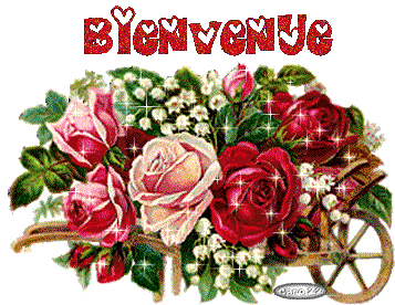 Nouveau sur le forum 36d39010