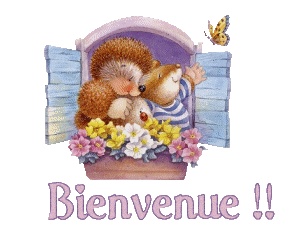 bonjour a tous Y9gsvd10
