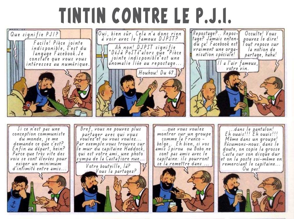 [LE TOPIC A LA CON] le dernier qui poste... poste - Page 25 Tintin17