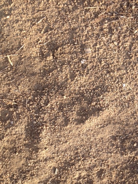 wood chip compost Hillsi10