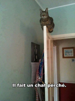 Chat alors! - Page 8 13833110