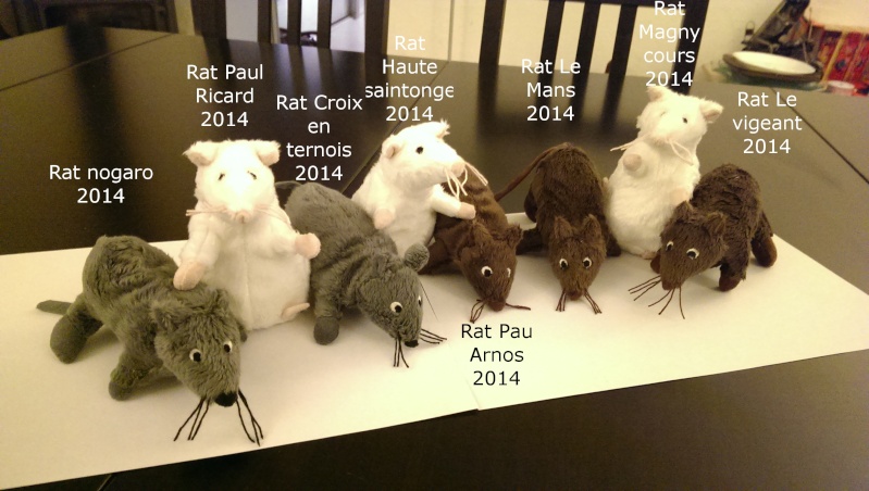 2014 un nouveau challenge, le challenge du rat! 2014-021
