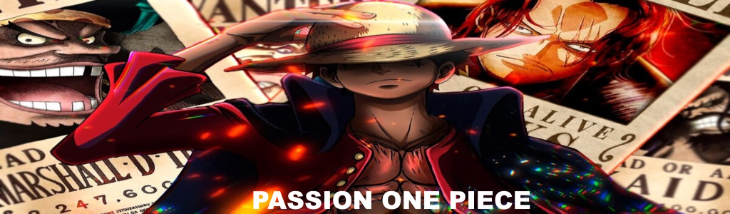 PASSION ONE PIECE