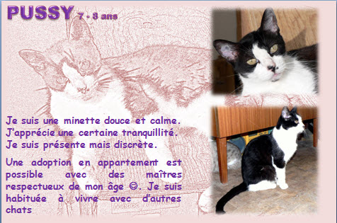 PUSSY 7 ans  Affich12