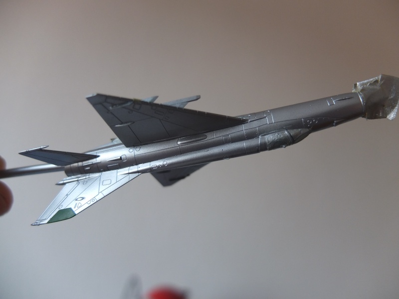 MiG-21 MF - Eduard 1/144 - Montage en duo avec Mary - Page 2 Dscf0438