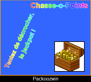 Ticket Chasse-o-points Chasse10
