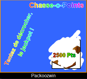 Ticket Chasse-o-points Chasse14