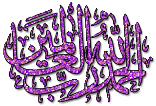لا مساهمات جديدة لا مساهمات جديدة