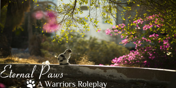 Eternal Paws - A Warrior Cats Roleplay Forum