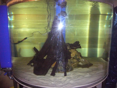 aquarium circulaire 1800 litres en méthacrylate P1070113