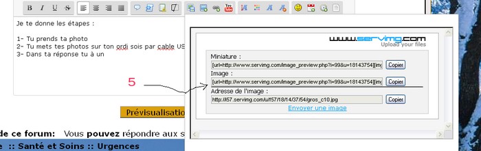 blessé au bec :'(   Step511