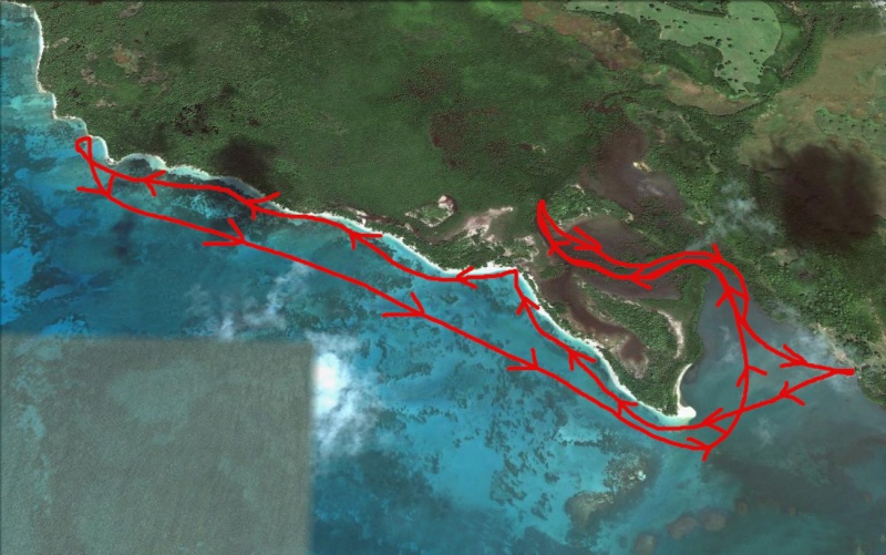 Quand La Terre rencontre la Mer...Une histoire de Mangrove. Google10