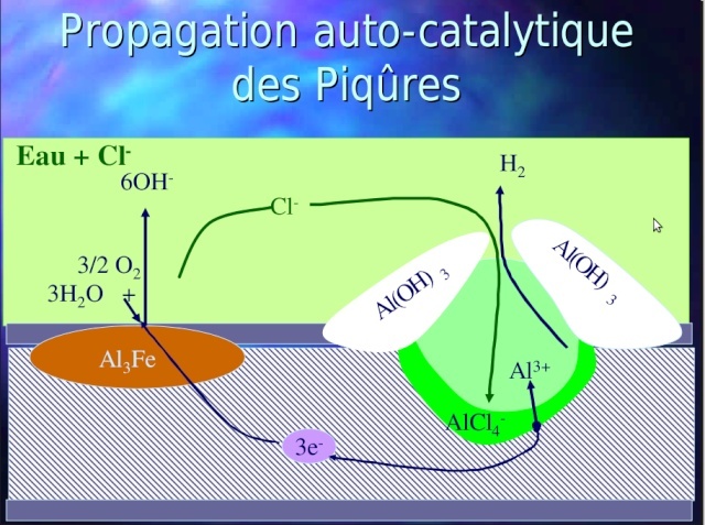 Peppina complètement "vérolée" par le vinaigre Captur10