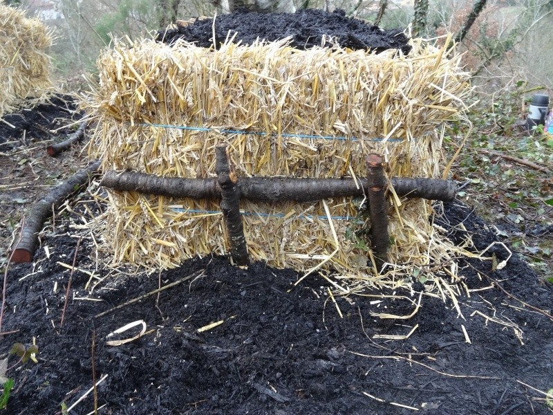 Potager sur ballot de paille 00312