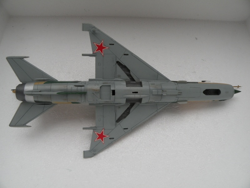 MiG-21 SMT fishbed-K Fujimi 1/72 - Page 4 Dscn5960