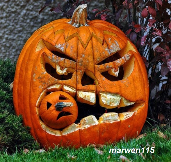 Concours Photo : Spécial Halloween sur Pinterest Marwen11