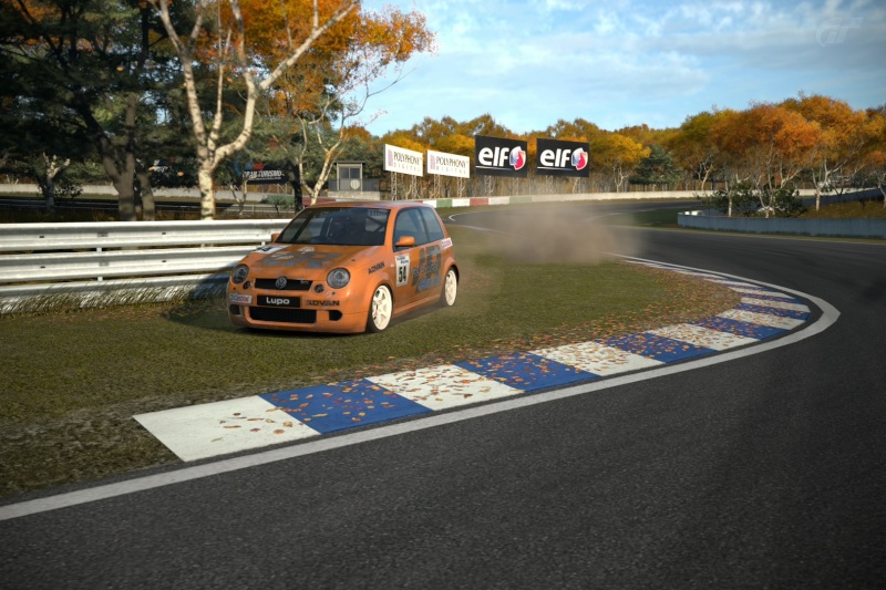 COURSE  LUPO  GTI  CUP  CAR  03  Autumn10