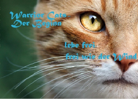(Dia's Forum) Warrior Cats-Der Beginn♥ Titelb11