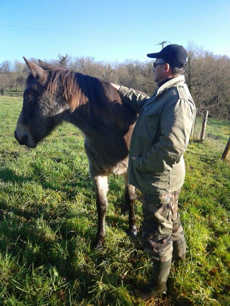 GENTLEMAN - SF né en 1994 - adopté en mai 2013 par Ceed - Page 9 Img_2011