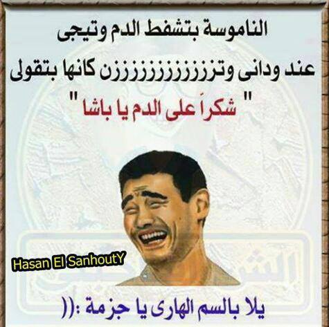 نكت اساحبي من الاخر 711