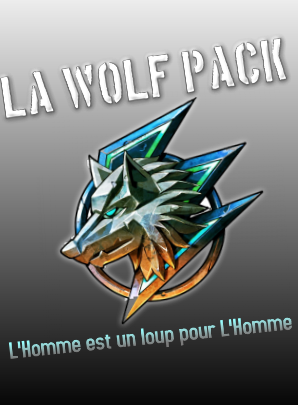 Nouveau nom de Team & logo Wolpac10