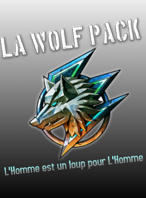 Nouveau nom de Team & logo  Wolpac10