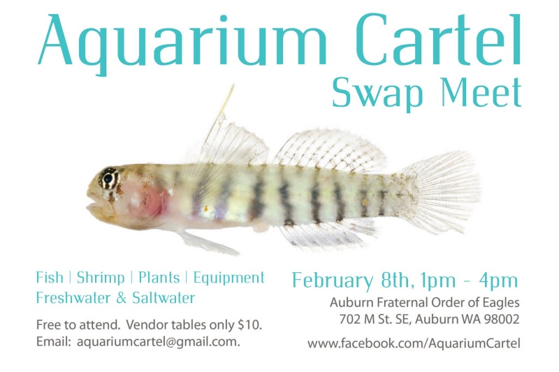 Aquarium Cartel Swap Meet - FEB 8 - new thread Aquari10