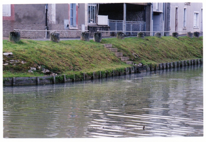 Les bordures d'un canal. Img38510