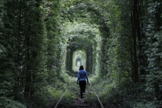 Tunnel Of Eden