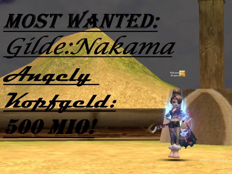 Most Wanted ;D Flyff010