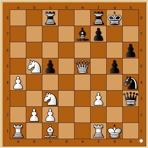 Je jouerai le championnat d'Islande! Chess210