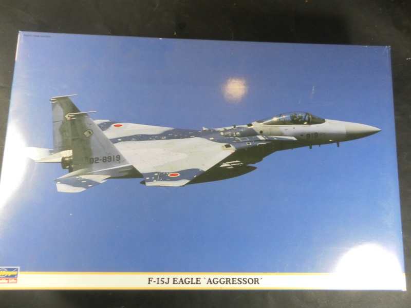 F 15 J agressor  hasegawa 1/48   Sam_0925