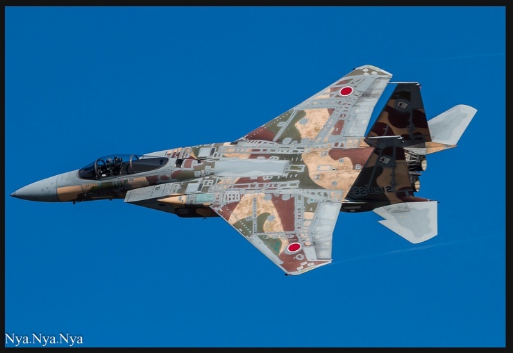 F 15 J agressor  hasegawa 1/48   Theone11